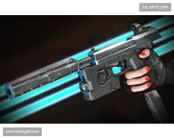 辐射4：武器更换全攻略