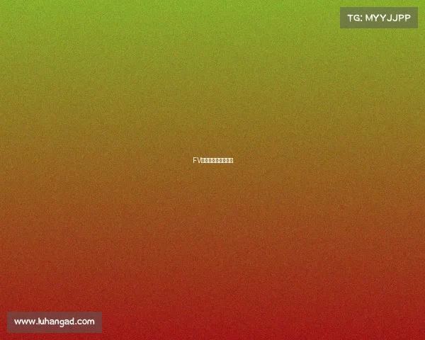 FV电竞：荣耀之巅再临